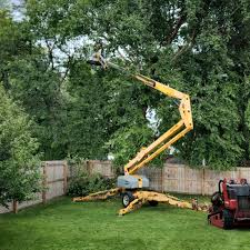 Best Artificial Turf Installation  in Patterson, CA
