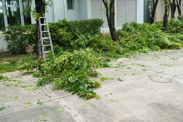 Best Lawn Mowing  in Patterson, CA